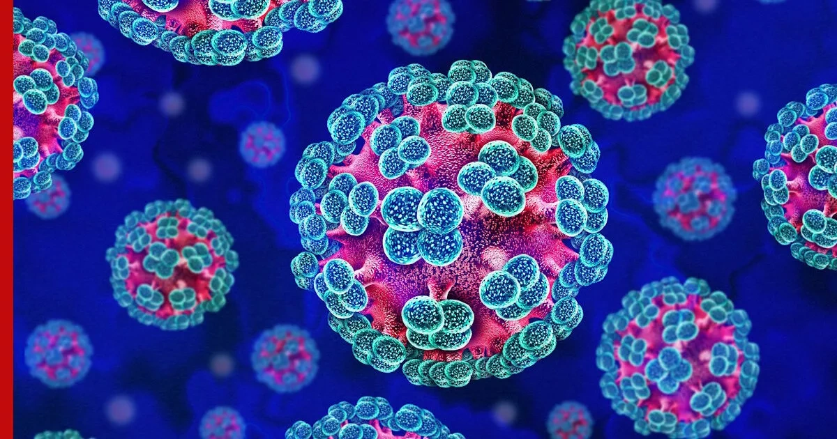 France’s health minister: We don’t know if hantavirus has mutated