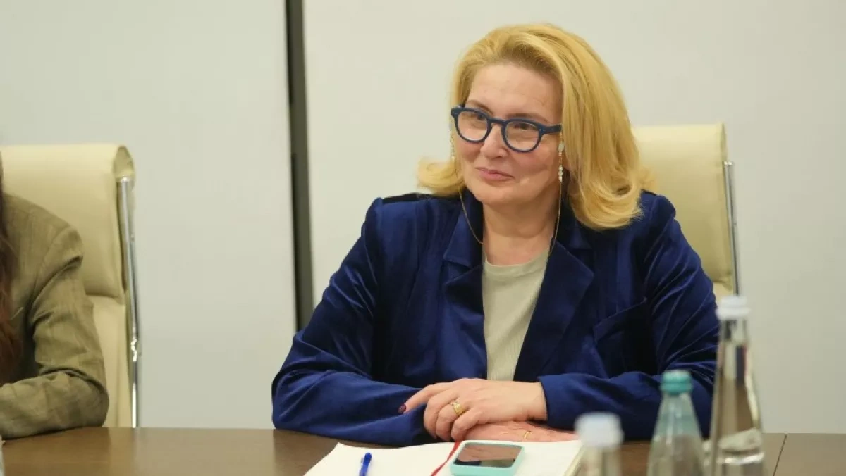 Baku, Tbilisi, Ankara and Sofia discuss new energy corridor to Europe