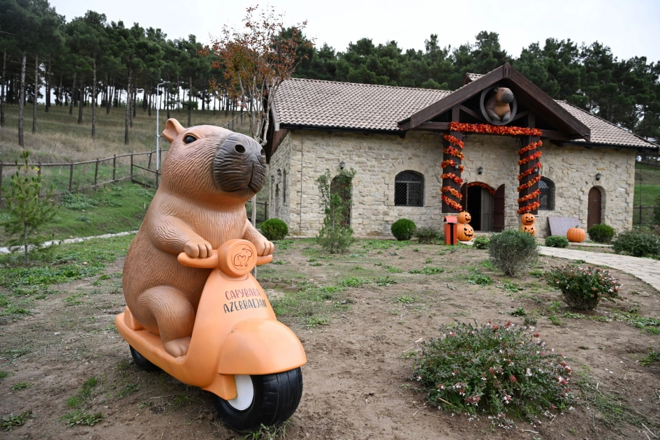 Leyla Aliyeva and Alena Aliyeva visit Capybara Azerbaijan farm in Shamakhi (PHOTO)