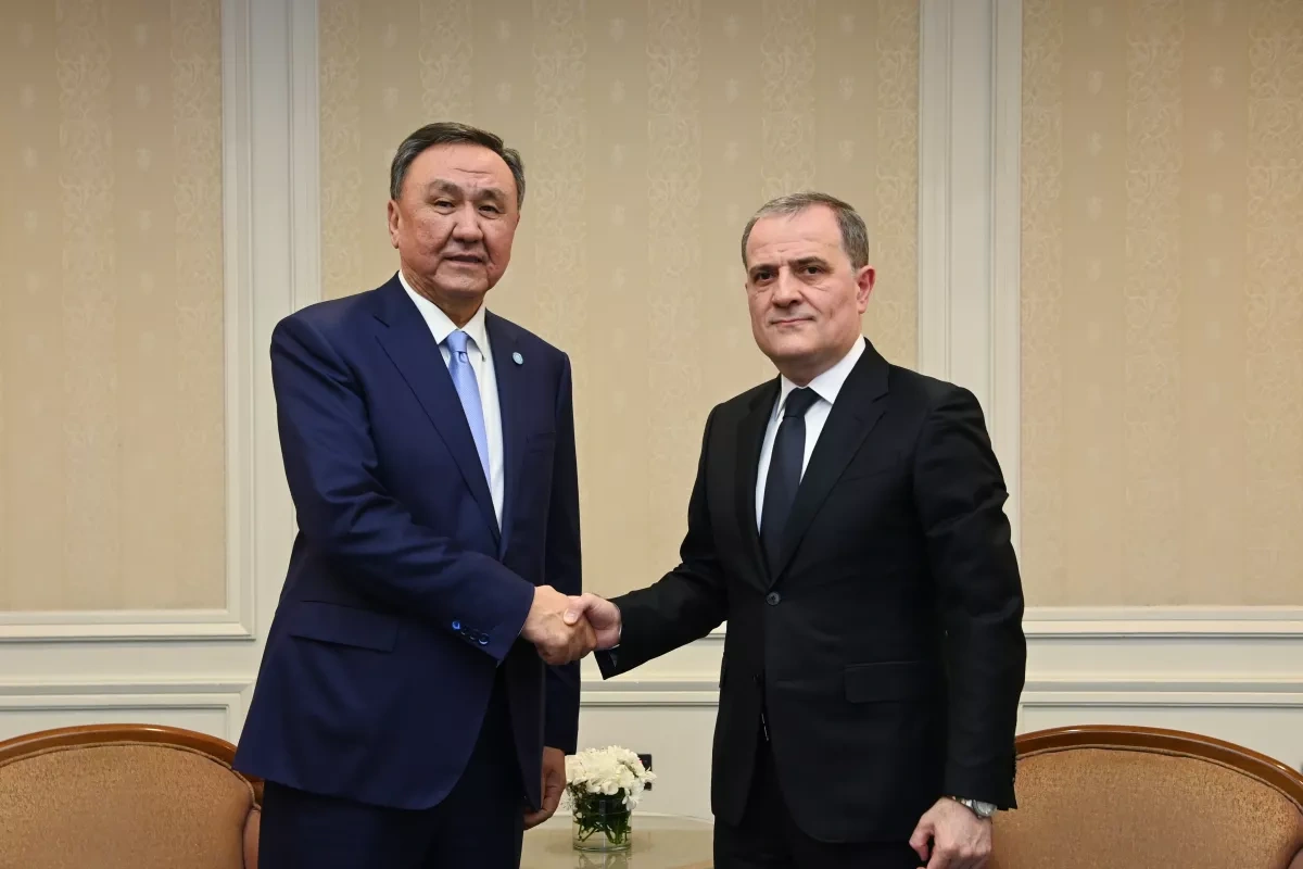 Azerbaijani FM, OTS chief discuss Iranian drone attacks on Nakhchivan