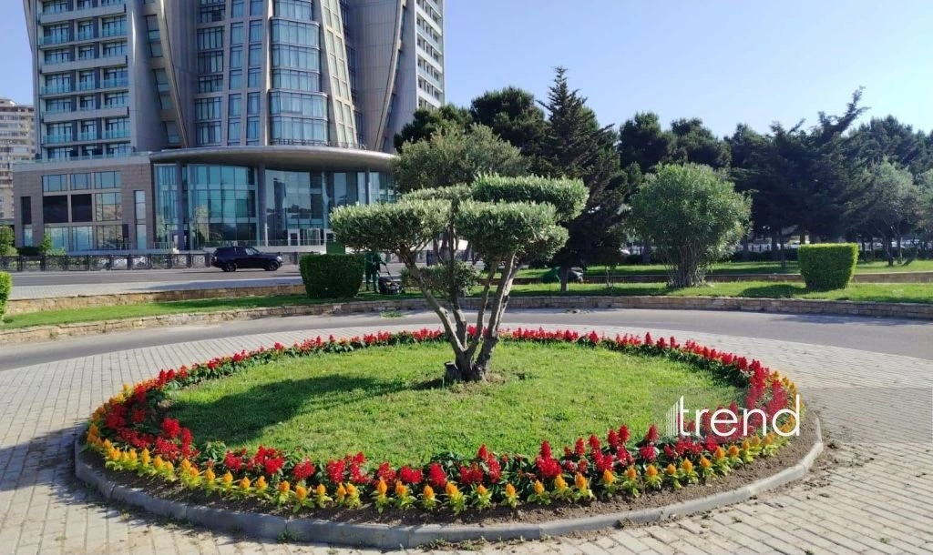 Azerbaijan's Baku blossoms with flowers ahead of WUF13 conference (PHOTO)