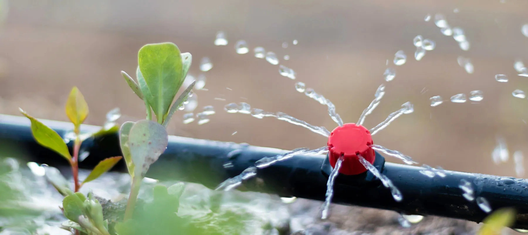 Uzbekistan, international financial institutions discuss water management, climate issues