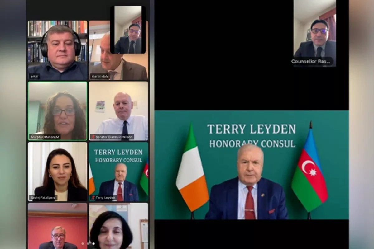 Interparliamentary working groups of Azerbaijan, Ireland meet virtually