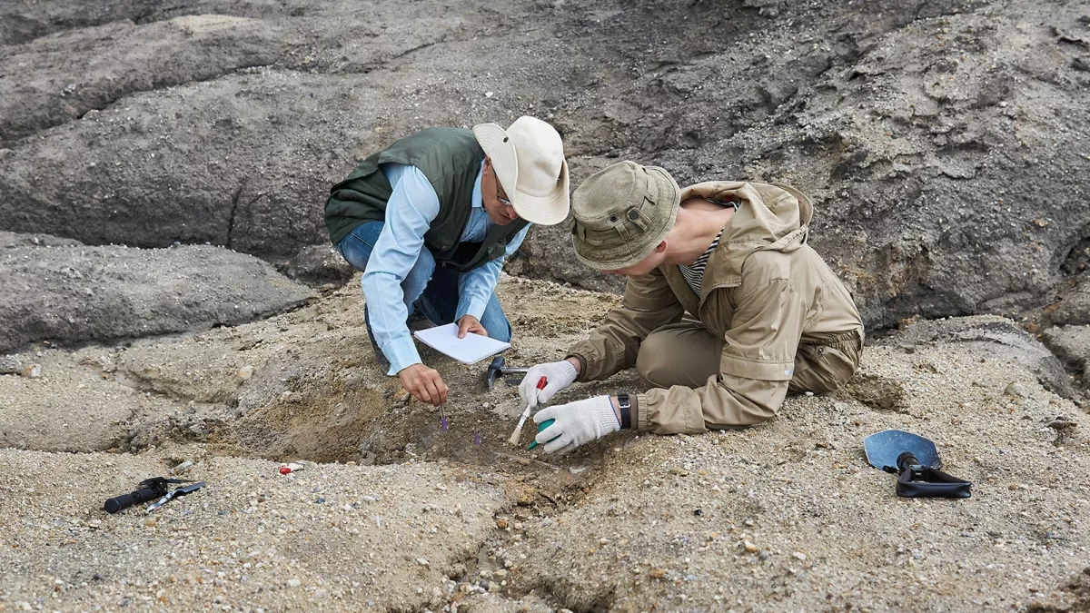 Archaeologists uncover possible Viking “capital” in Ireland