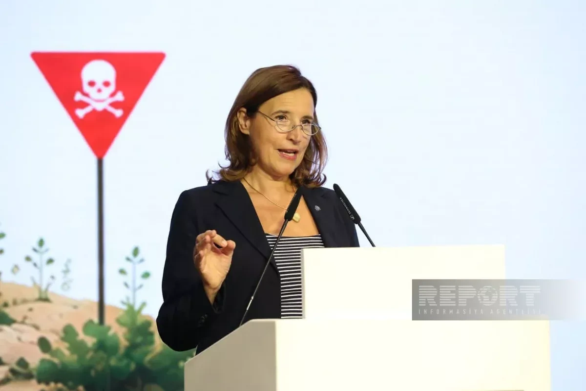 EU backs Azerbaijan’s strategy linking demining to reconstruction, return