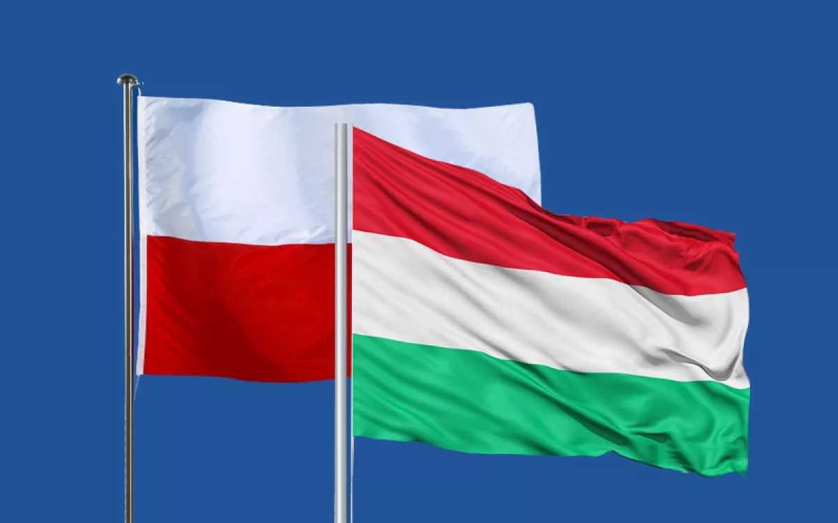 US makes exception for Hungary, Poland in immigrant visa freeze