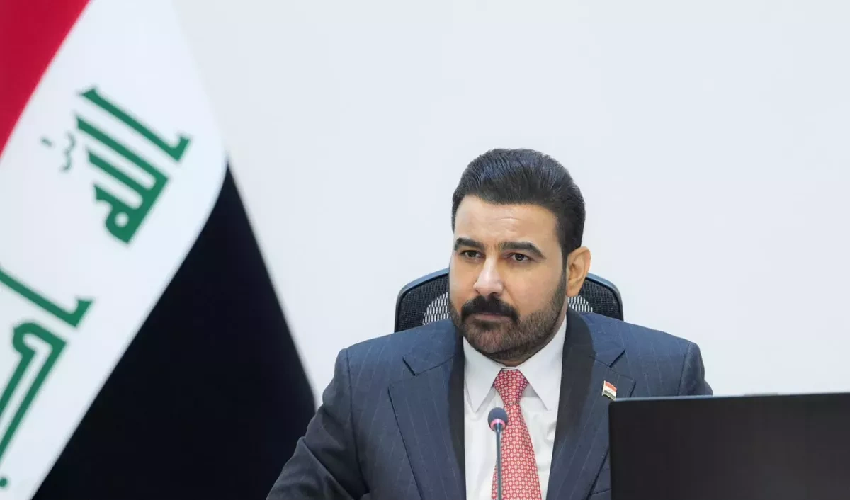 PM: Iraq moves to bring weapons under state control