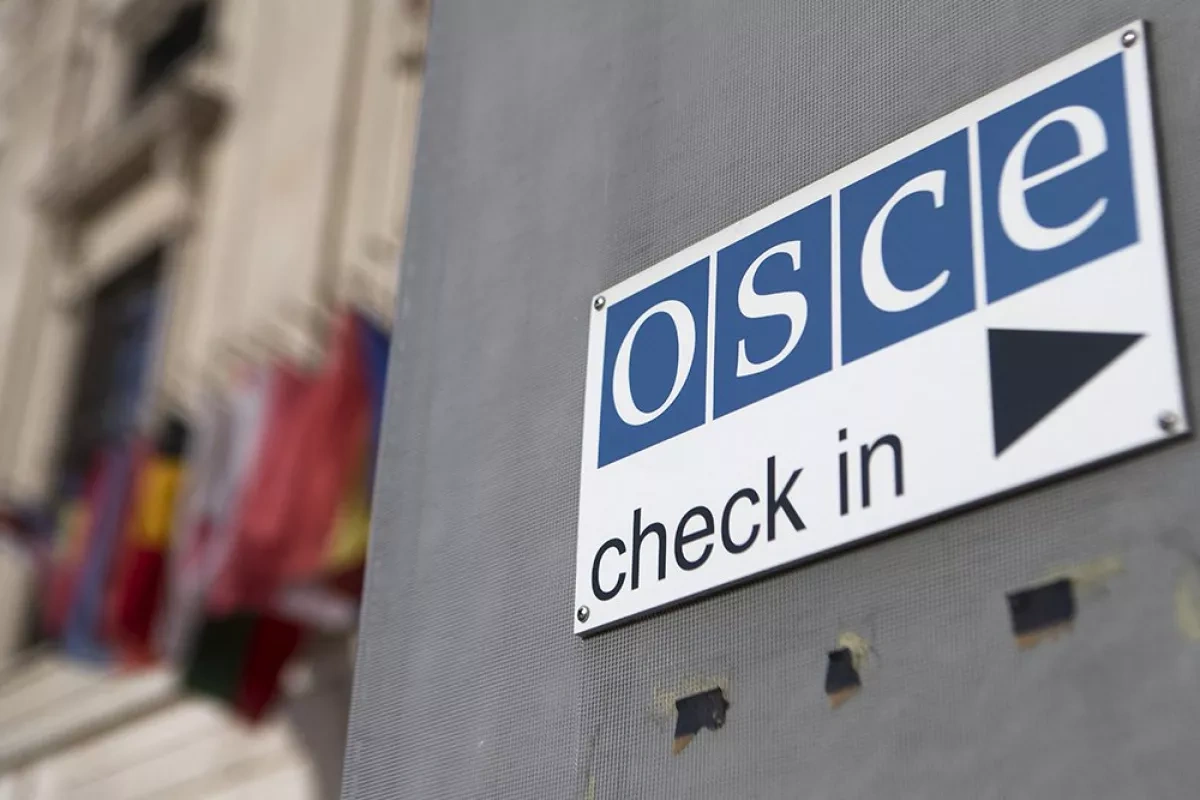 OSCE to examine Russian strikes on Ukraine’s energy infrastructure At Kyiv’s request
