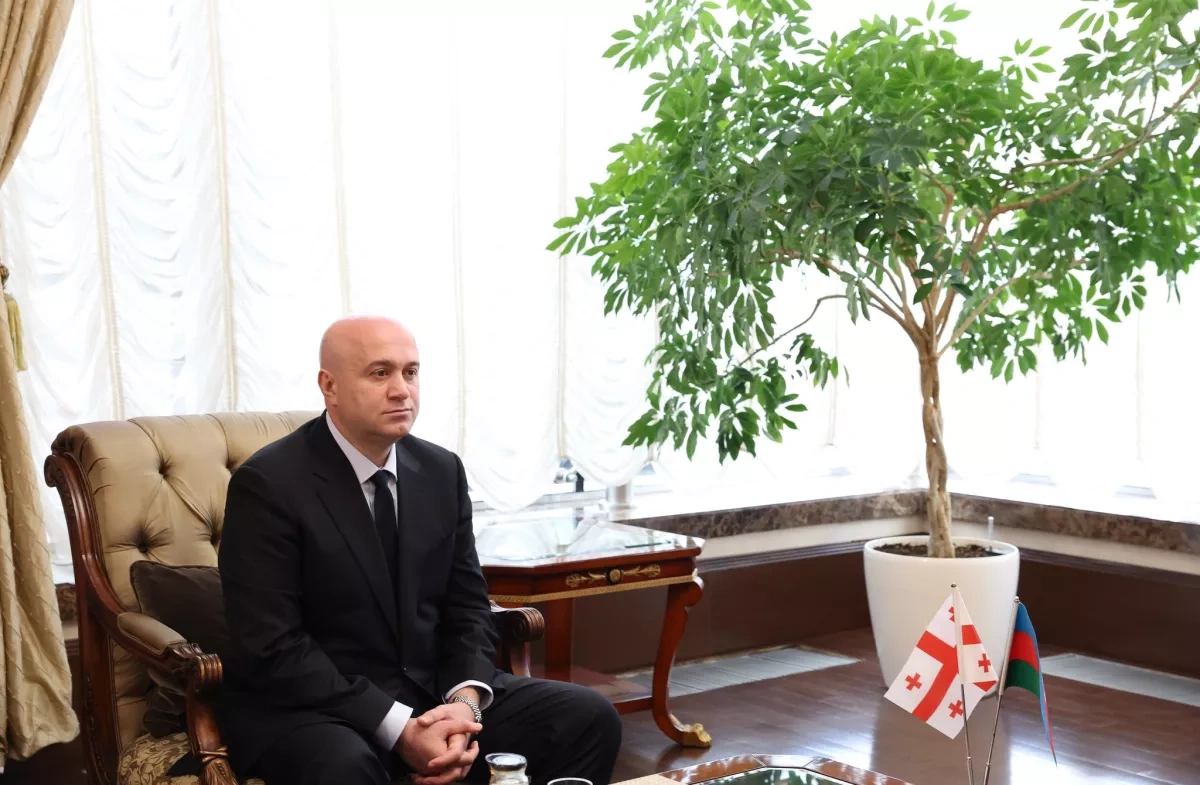 Georgian interior minister visits Azerbaijan for official talks PHOTO
