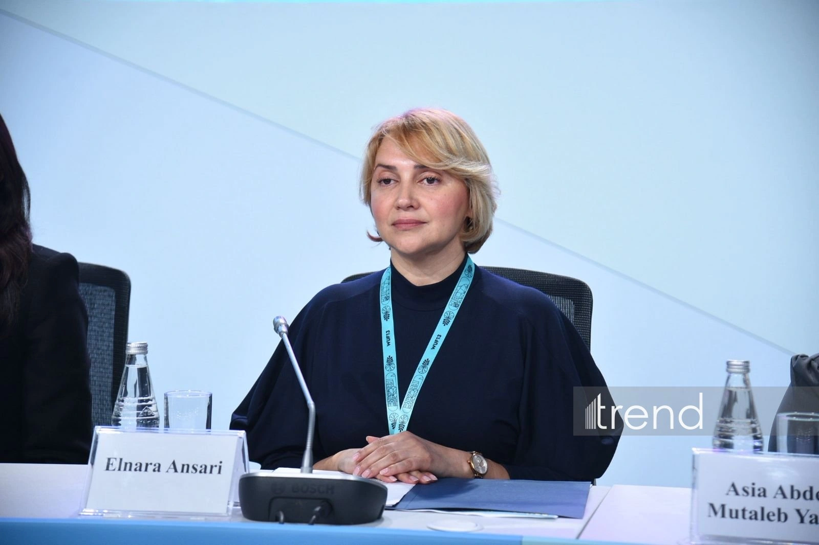 WUF13 in Baku hosts event on 'Inclusive Cities and Independent Living for Persons with Disabilities' (PHOTO)