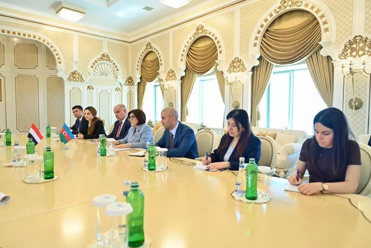 Azerbaijan, Yemen discuss establishing parliamentary friendship groups PHOTO