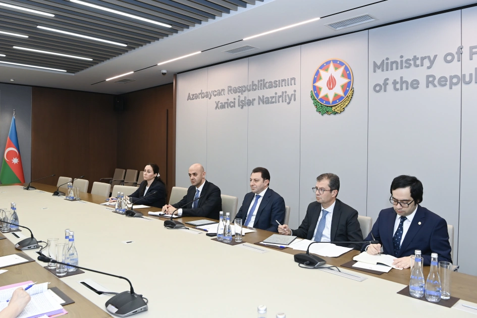 Azerbaijan, UNESCO discuss prospects for developing cooperation (PHOTO)
