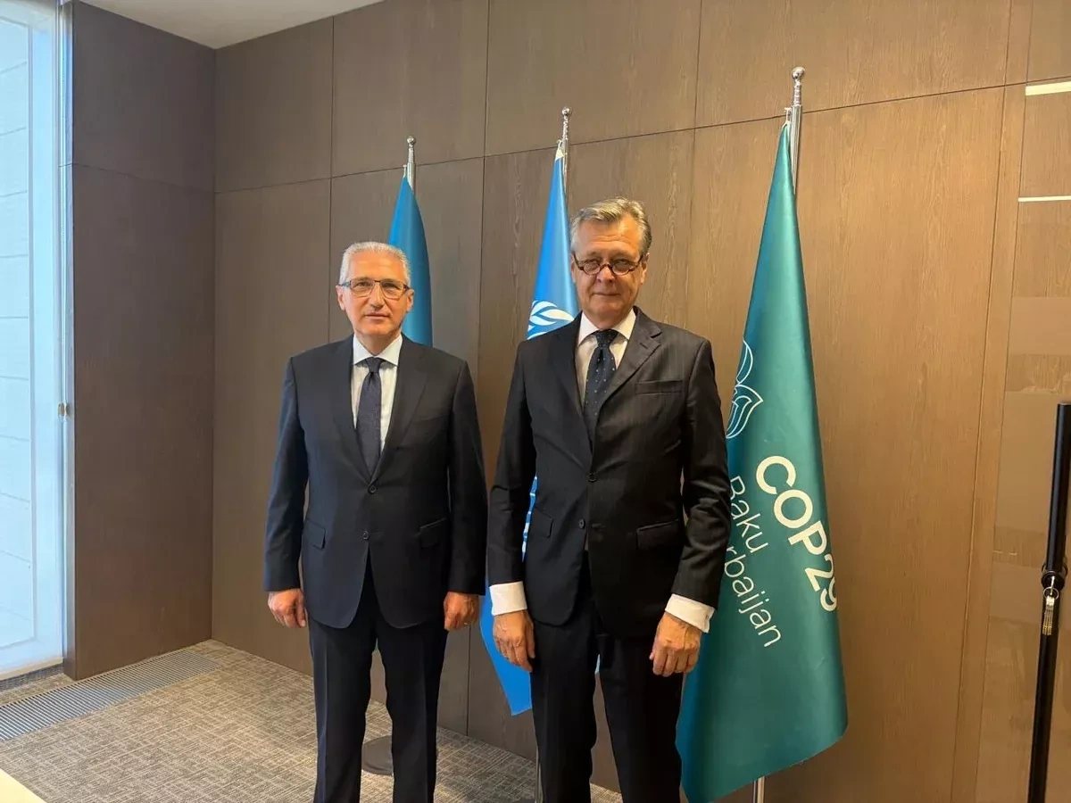 Azerbaijan, Germany seek stronger cooperation on climate, environment PHOTO