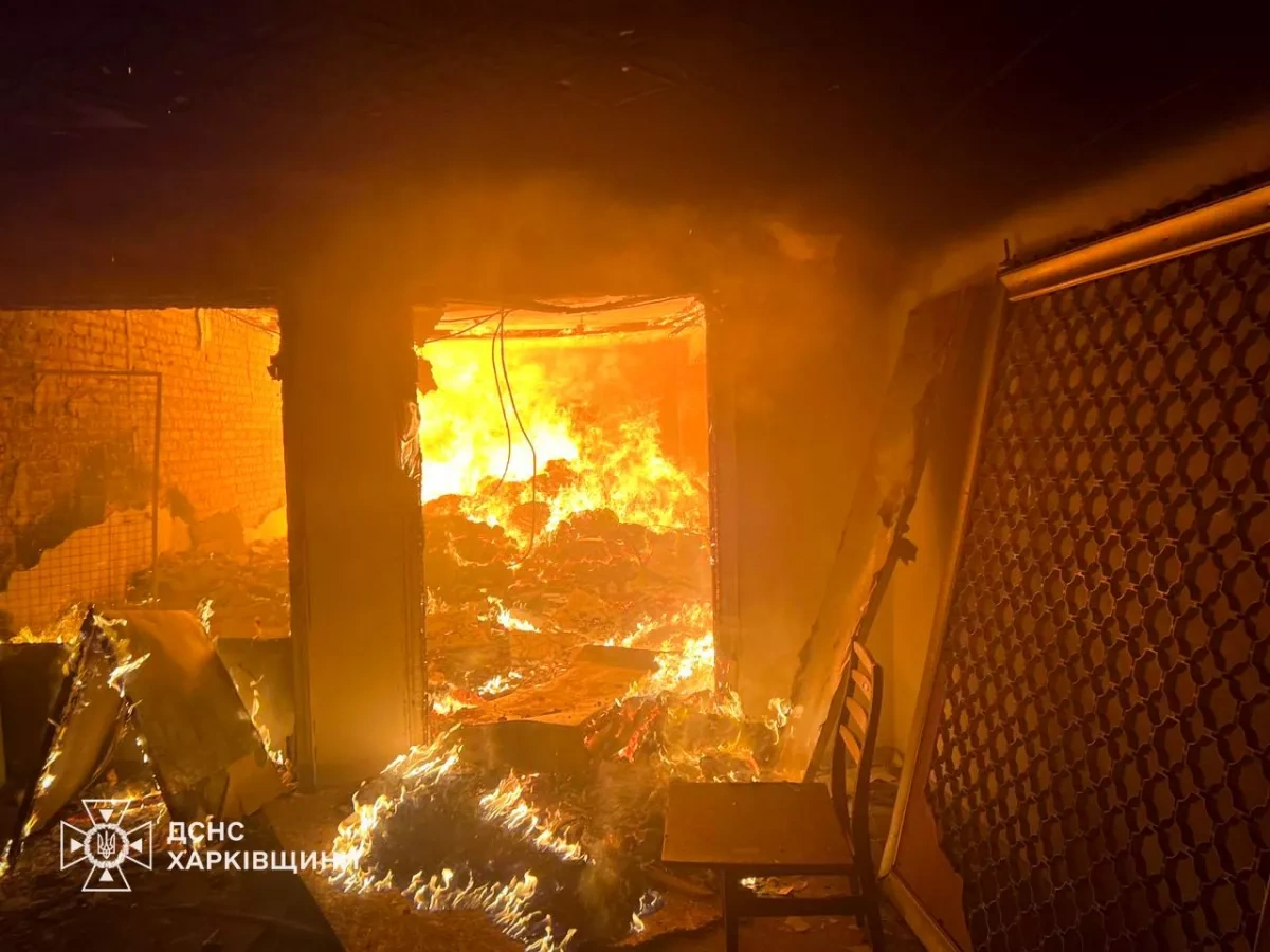 Russian strikes on Kharkiv, Chernihiv regions: kill livestock, damage community centre Photo
