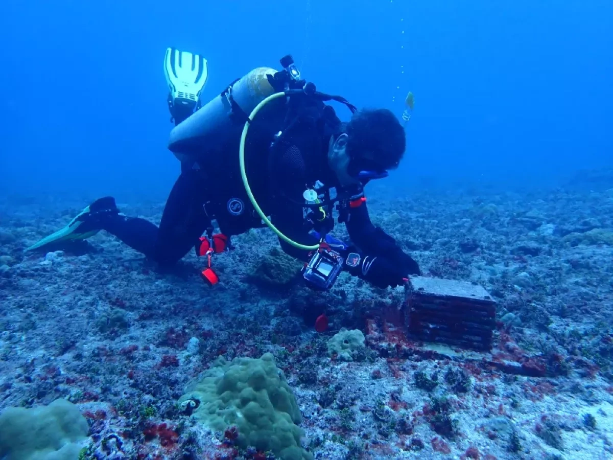 Scientists discover 20 new species in deep Pacific ocean