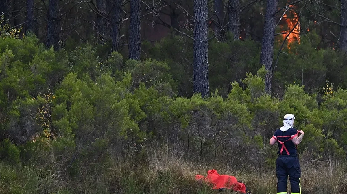 Media: EU wildfire strategy falls short amid another devastating season