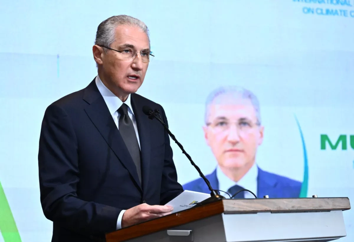 Azerbaijan calls for more accessible climate finance for vulnerable states