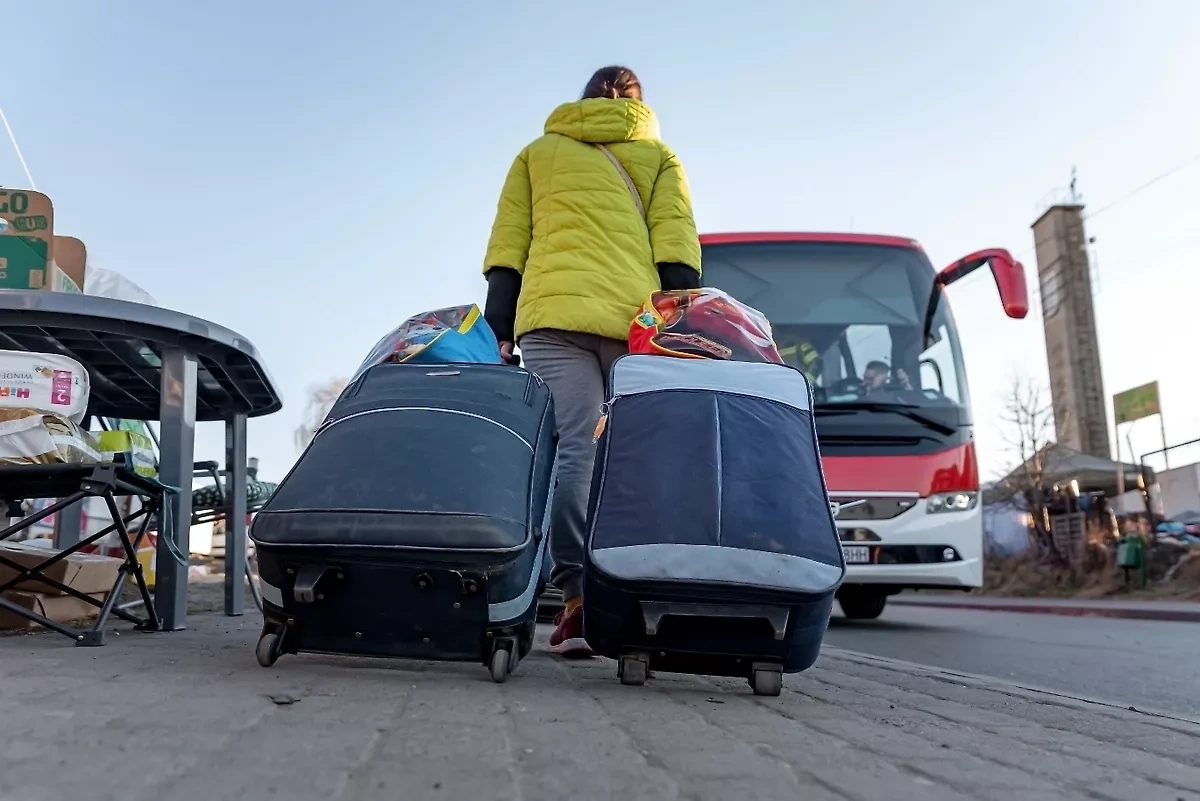 Demographer: Six million have left Ukraine since war began