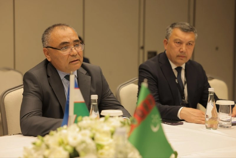 Uzbekistan, Turkmenistan step up joint farm projects