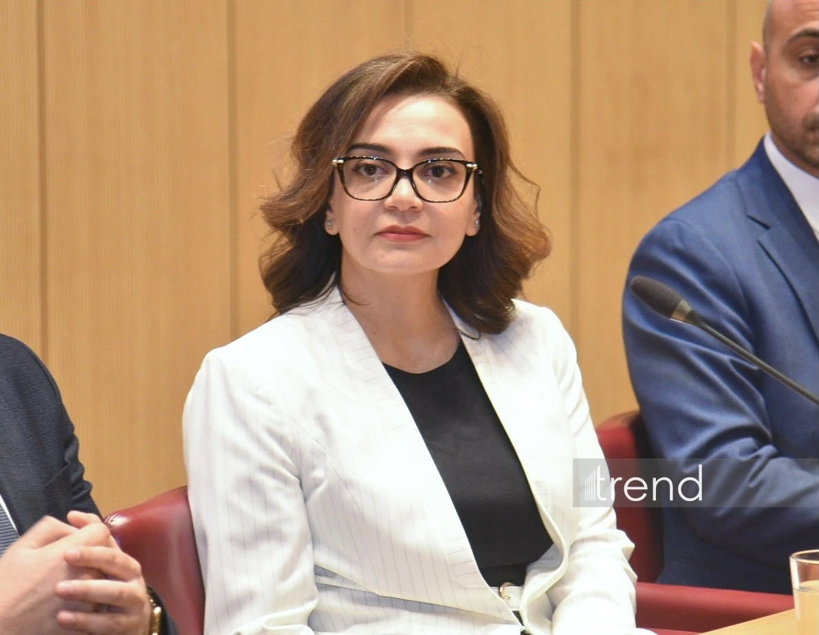 Azerbaijan has significant potential for developing scientific research — Sevinc Mammadova