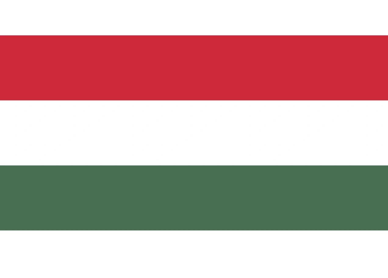 Hungarian citizens in Azerbaijan vote in parliamentary elections