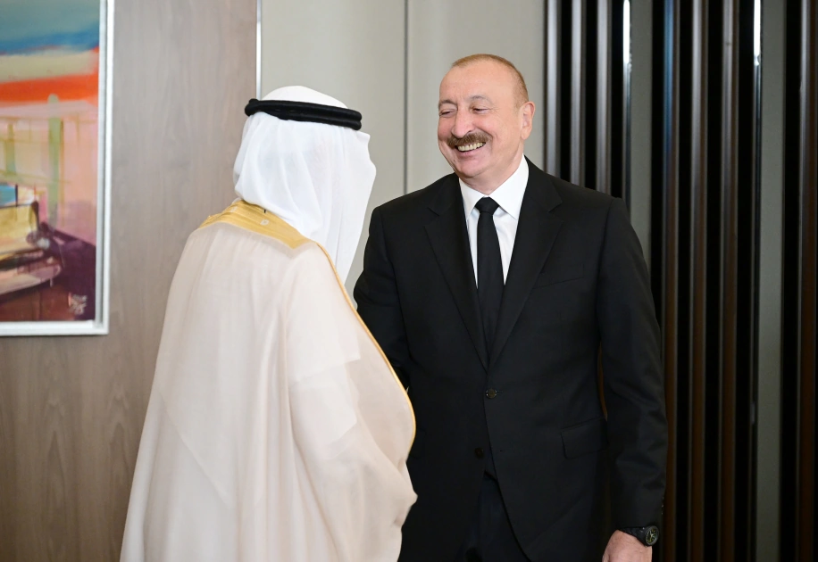 President Ilham Aliyev receives delegation of leaders of member organizations of Arab Coordination Group (PHOTO)