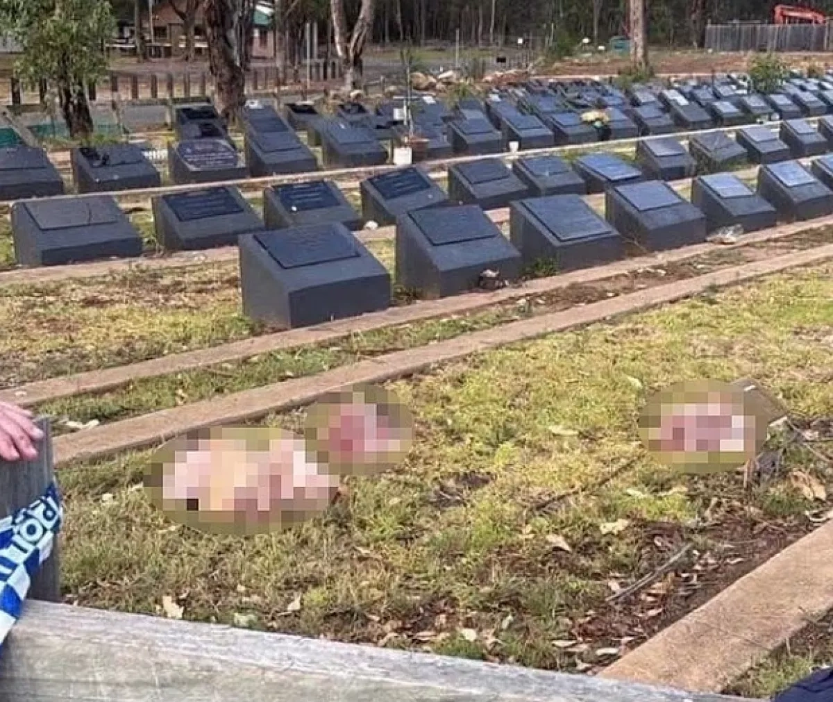 Media: Pig heads left on Muslim graves in Sydney following Bondi beach attack Photo